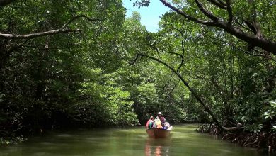 Wisata Bontang Kuala Ecotourisme