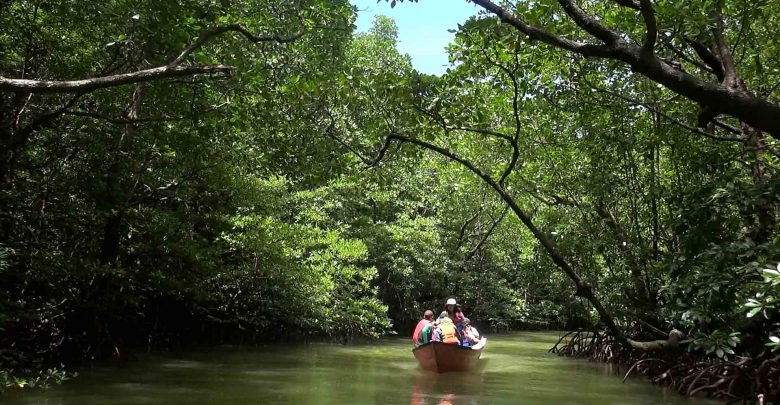 Wisata Bontang Kuala Ecotourisme